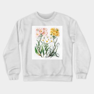 New Zealand snow groundsels (1848–1927) Crewneck Sweatshirt